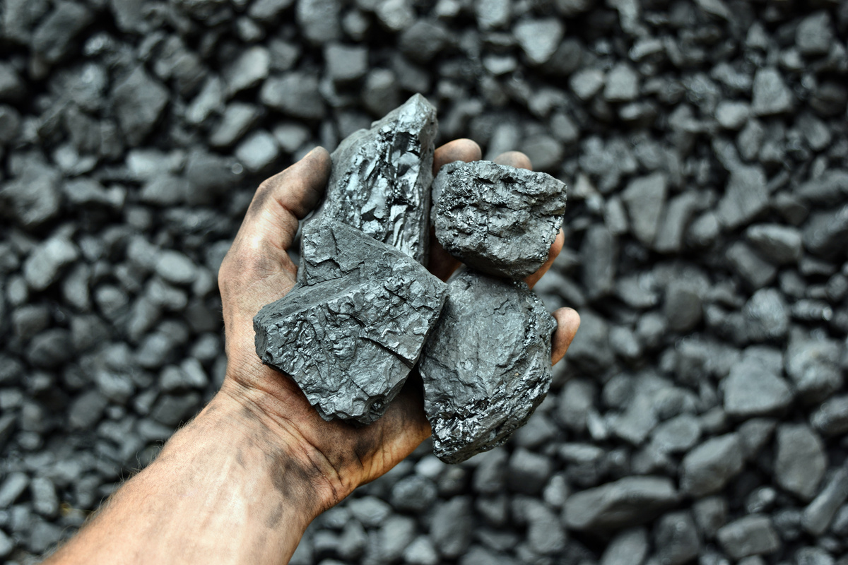 Hand of the miner shows coal in mine